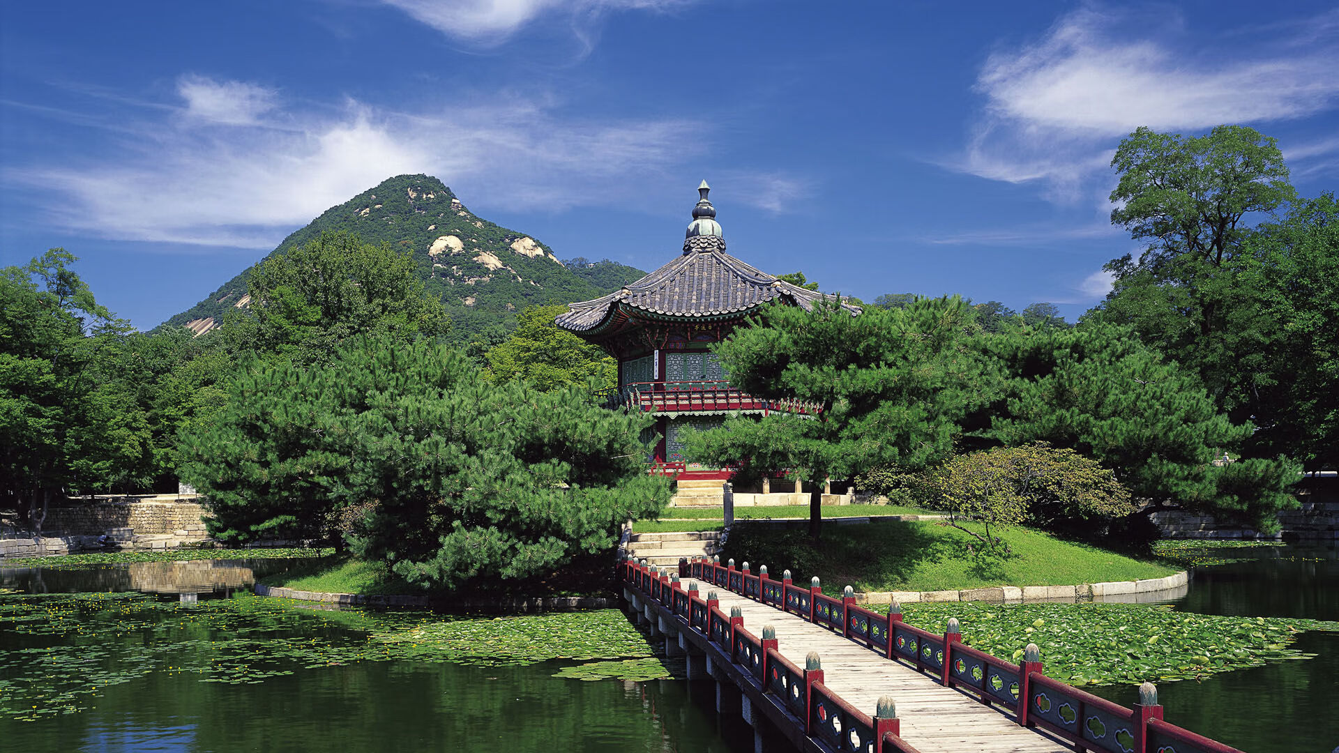 世界乒乓球联赛赛场文化活动改进试点总结发布，世界乒乓球坛重大赛事有
